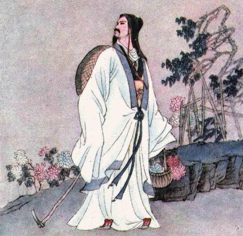 (半诗半词半壶酒)在半抚琴台半举杯全诗：诗酒相伴，琴声悠扬，思绪翩翩起舞