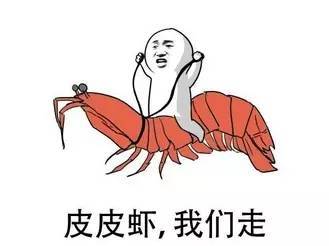 (皮皮虾传奇百度百科)深度剖析：如何看待皮皮虾传奇剧集烂尾的多重原因与影响