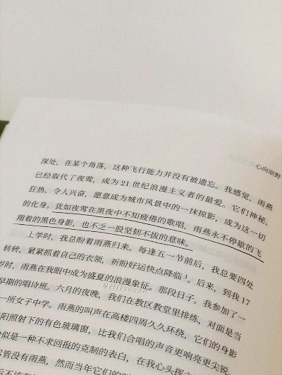 (pdf风之遐想)风之遐想：在自然的低语中探索心灵的无限可能