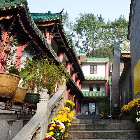 (西樵白云洞景区门票多少钱)探寻西樵白云洞志原书：一个神秘古老文献的探寻历程