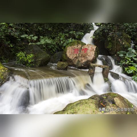 (西樵白云洞景区门票多少钱)探寻西樵白云洞志原书：一个神秘古老文献的探寻历程