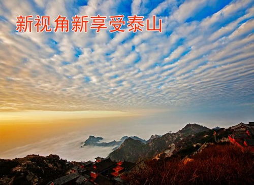 (踏山 河)穿越山川，追寻自我：《踏山河
