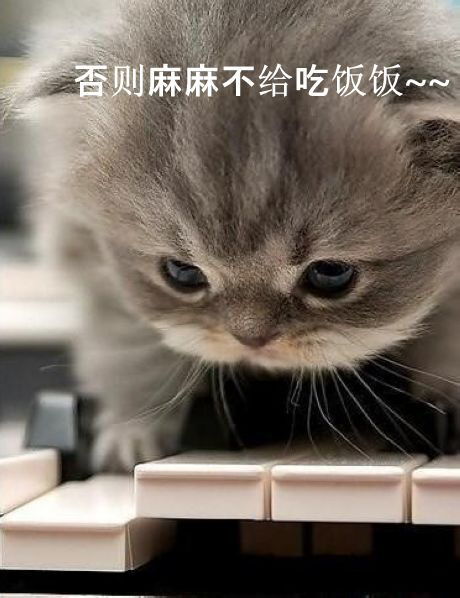 (猫咪田园图鉴攻略)猫咪田园无限金鱼：在乡村田园间玩耍的可爱萌宠
