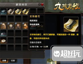 (剑与家园作弊教程)剑与家园：内置FF悬浮窗修改器的全面解析与应用技巧