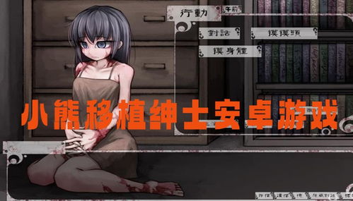 (绅士游戏200个)小熊移植的100款绅士游戏：爱不释手的性感乐趣大全