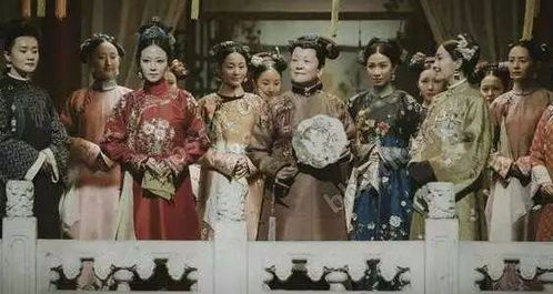 (延禧宫攻略电视剧简介)延禧攻略电视剧：宫廷权谋，爱恨情仇，史诗般的爱与征服之旅