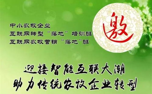 (临门一脚的意思是什么)临门一脚是成语吗？解读传统俗语背后的智慧和文化内涵