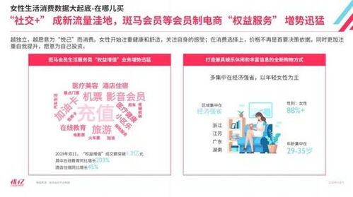 消费满额即享受VIP特权：探索《仙宠物语》官方VIP满级体验，角逐顶级仙宠称霸神话世界