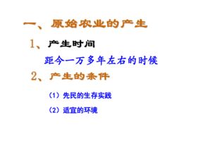 (原始社会史实)探究历史密码：原始社会时期的社会结构与生活方式