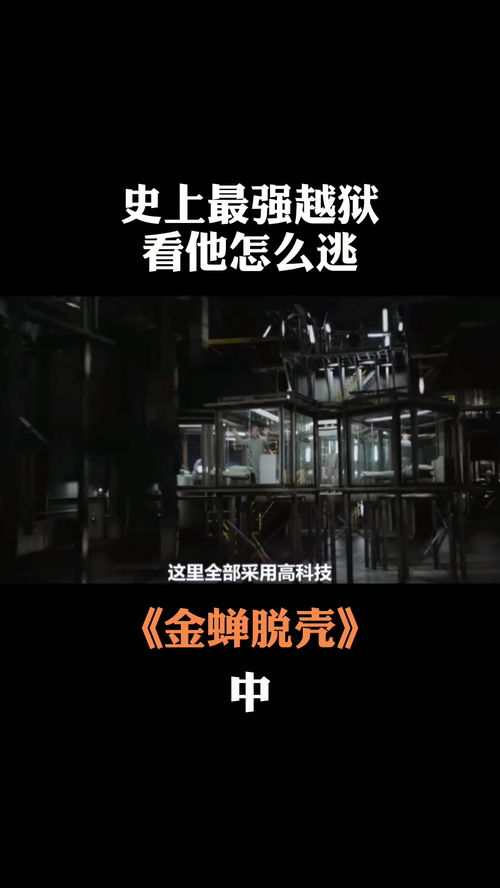 (金蝉脱壳room2报纸记号)金蝉脱壳报纸记号：历史的褪色，传承的力量