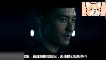 (金蝉脱壳room2报纸记号)金蝉脱壳报纸记号：历史的褪色，传承的力量