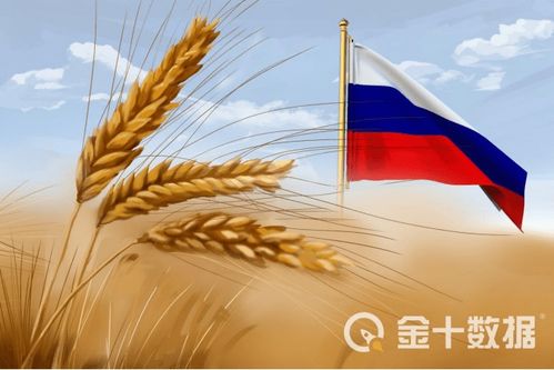 (临界指令是哪个公司的)关于临界指令的最新消息：何时正式上线及其对行业的影响分析