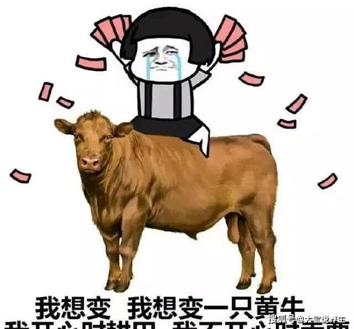 (愤怒的黄牛2019 电影)202"愤怒的黄牛：2021年最新电影大片现已上映，别错过！