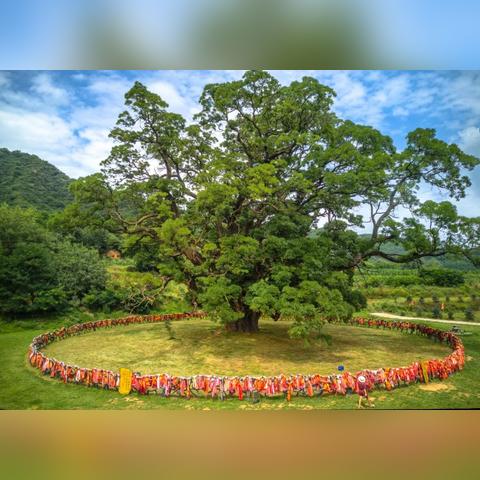 (300英雄ui)300英雄三千院攻略：打造最强阵容，征战九州，称霸三千界！
