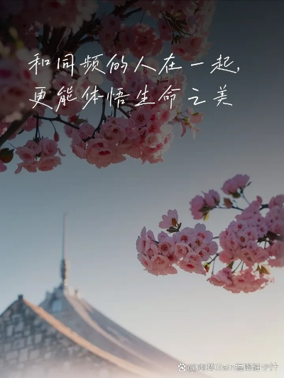 (当命运让我们相遇)当命运交错：遇见幸福，温暖心房，细水长流，谱写幸福之歌
