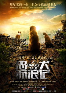 (纪录片帝国崛起)探索帝国崛起1850：历史背景、政治动荡与全球影响的深度解析