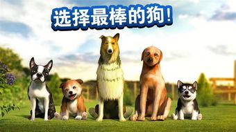 (狗狗突击队 动画片)探秘狗狗突围官方下载：开启全新游戏体验