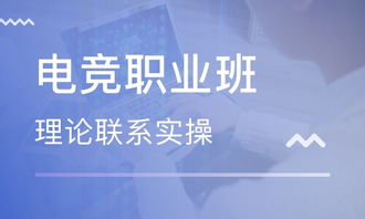 (电竞专业培训机构有哪些)提升电竞技能？加入专业电竞训练班，打造职业级游戏玩家！