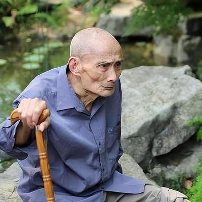 我要当村长游戏免广告，体验真实的乡村治理乐趣，走进美丽的村庄世界