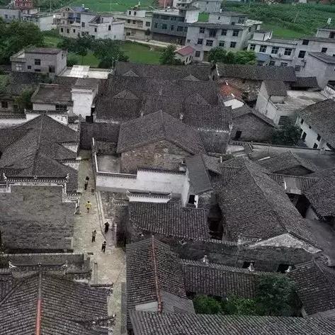 我要当村长游戏免广告，体验真实的乡村治理乐趣，走进美丽的村庄世界