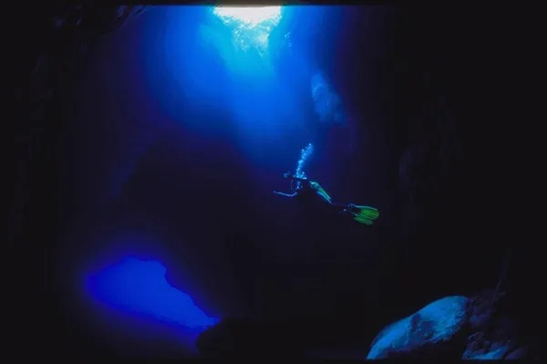 (潜入深海的视频)跌入深海的奇幻冒险：难忘的潜水经历