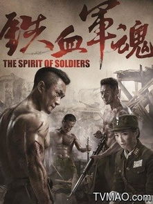 (铁血荣耀简介)铁血荣耀：揭秘抗战历史与英雄情怀交织的电视剧背后故事