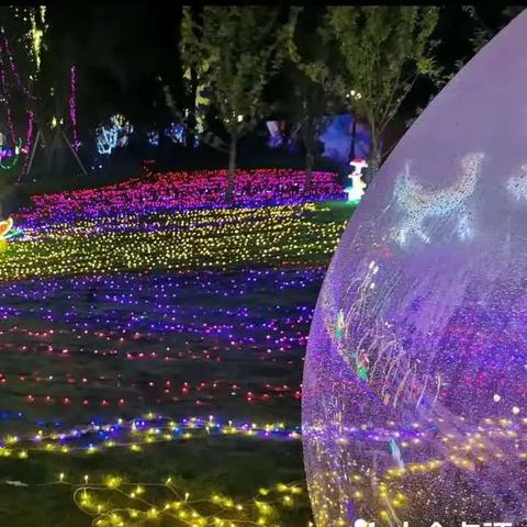 (梦境之城动画片)探讨《梦境之城第五幕解析》中的情节转折和主题发展