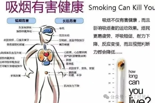 深入探讨：国色天香烟的成分及其对人体健康的影响，未知的危害是否值得执着？