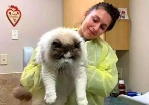 (《遇见喵星人》)遇见喵·猫咖啡馆怎么样？体验与猫咪亲密接触的乐趣！