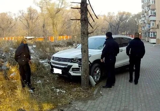 男子欲骗保开车撞树当场身亡，真相曝光惊呆众人，警方透露调查细节