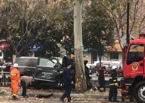 男子欲骗保开车撞树当场身亡，真相曝光惊呆众人，警方透露调查细节