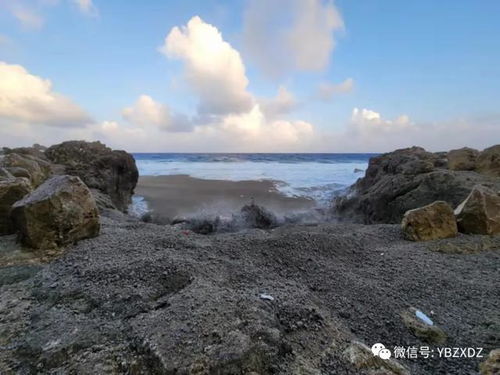 探讨海洋污染的问题：当污染入侵黑潮，我们还能否回归未受破坏的大海？