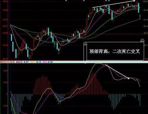 (双界的交织点怎么样)双界链接点不是已经凉了？了解最新趋势与发展动态