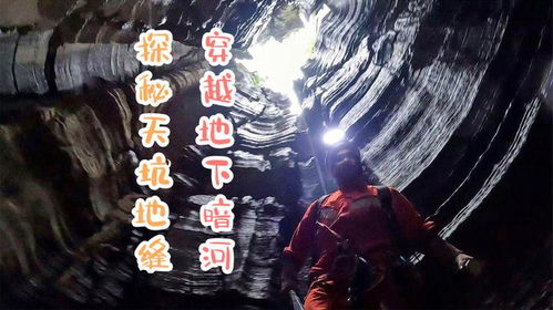 探秘街道物语7：穿越仙道，追寻木兽的神秘之路