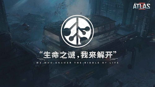 探索神秘代号白免费完整版中文，揭秘隐藏在其背后的故事与秘密
