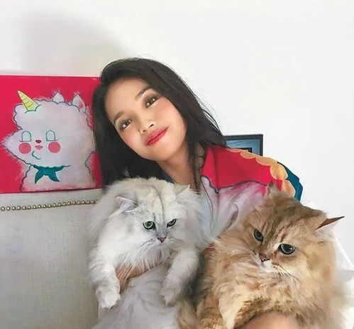 (小峰峰真名叫什么)小锋真猫本人：打破传统，重塑个人风采，成为真正的自我。