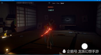 探索神秘的幻镇：当角色进入战斗时突然黑屏，玩家面临了极大挑战