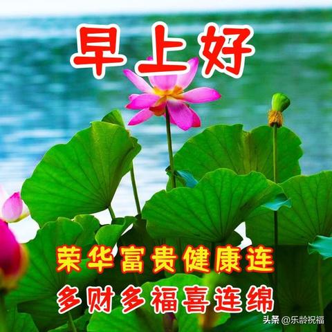 深度揭秘：以逍遥修真境界为蓝本，详细解析修真者如何突破界限获得永生
