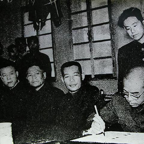 新手必看：详解蘑菇战争2战役模式全通关攻略及关键关卡应对策略