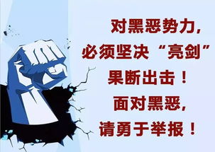 (小锋是谁)小锋小志的生活来源：勤劳努力，人脉广泛，多元职业经验。