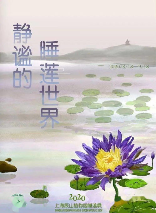 (花戎讲什么)深度解读花戎第一集：探寻动人情感与扣人心弦的故事设定