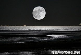 (如梦下半场)如梦下弦月意味深长，揭示了怎样的哲理和情感维度？