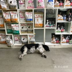 (新亚车站过安检能带宠物猫进站吗多少钱)新亚车站过安检能带宠物猫进站吗？