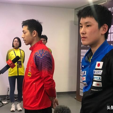 (荣耀之冠百度百科)荣耀之证：追寻历史与梦想交汇的辉煌时刻