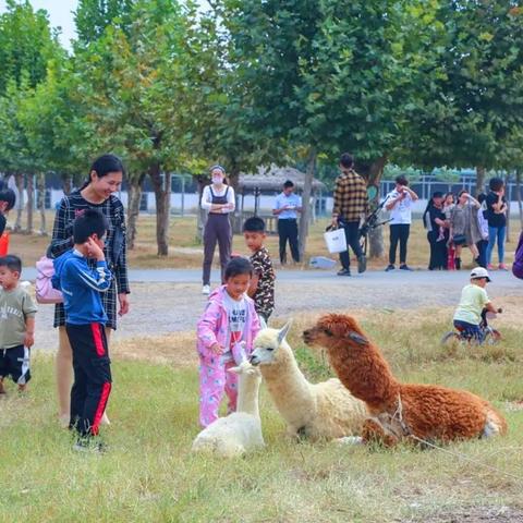 (乐缤纷什么意思)探索乐缤纷庄园农场：领略大自然的奥妙，尽享农场乐趣