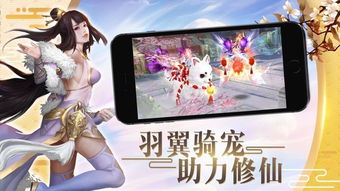 蝶衣手游官方正版，带你走进绚烂蝴蝶世界，体验无限魅力与乐趣