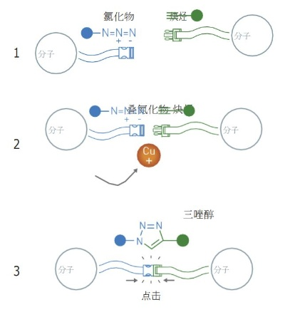探究科技创新：以'鱼酱与氚氚怪修改器'为主题，深入解析结构设计与实际应用的奥秘