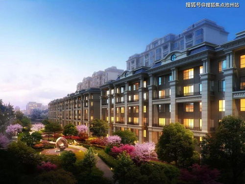 (dl游戏里面什么意思)探寻DL是什么意思游戏：深度解析DL在游戏中的含义