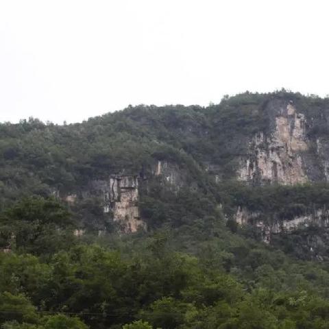 (如何在勇者之路游戏中获得沃特花仙子)如何在勇者之路游戏中获得沃特花仙？
