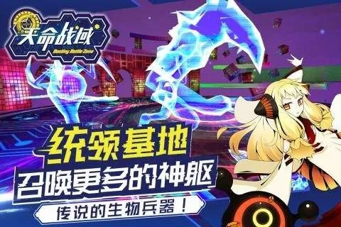 (天命战绩)探讨天命战域在996工作制下的真实名称和意义